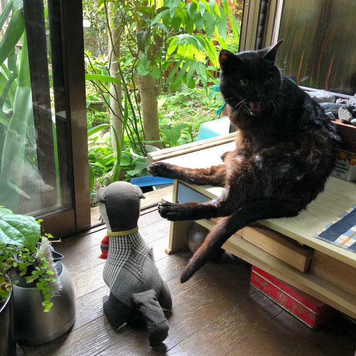 9e0c2206 f894 4acf 8b00 a0675049a548 1525168264129