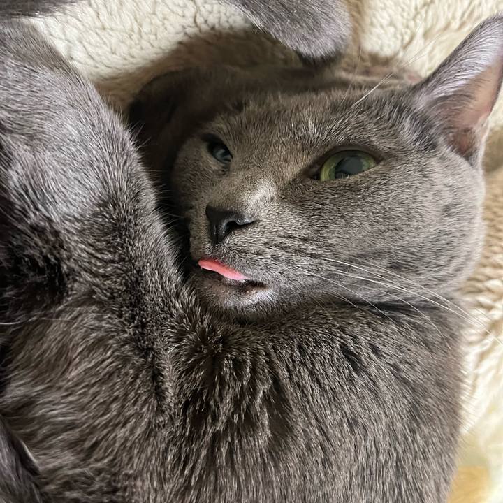 9e0c6920 7a0b 43c5 9678 cb97ec110667 1709031127597