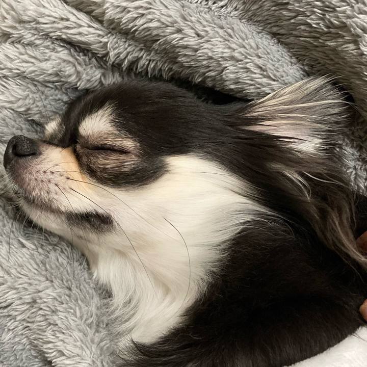 9e0c8657 f472 4ff3 aa01 2ce7b64dc5d1 1641649419639