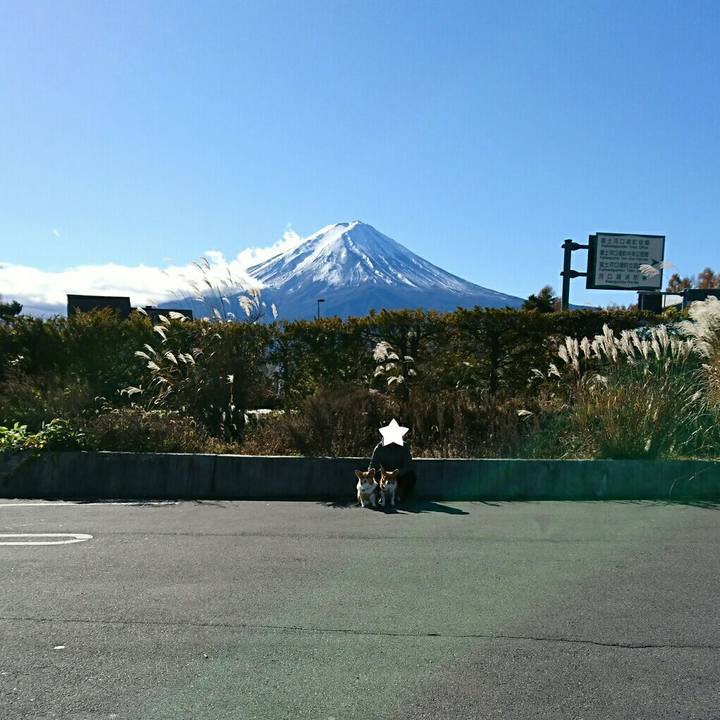 9e0cb339 2c5e 4f5d b3e5 ea2920e7691c 1542954527923