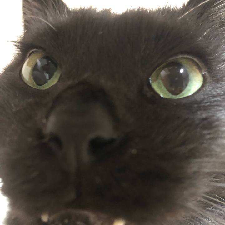 9e0cd36c da2e 4429 840c e5a77cc0036c 1633789935074