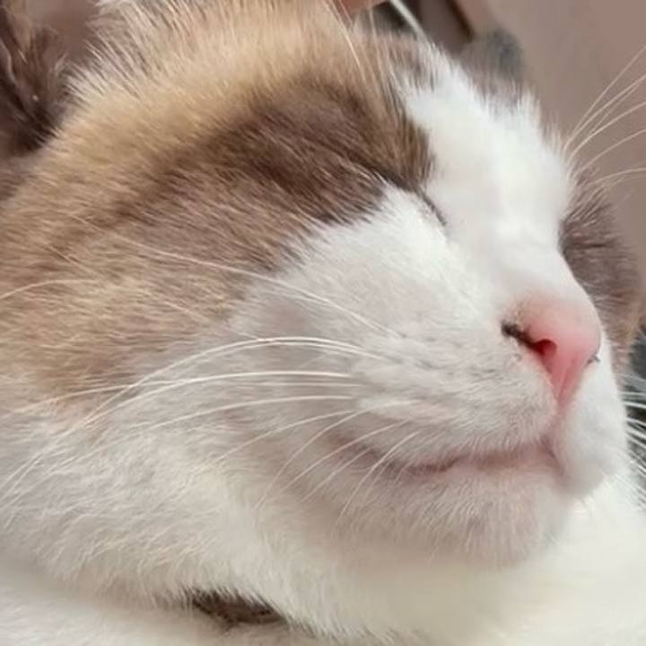 9e0cd37c 0fc8 4a56 b83d e65adcd4e6f8 1763604899245