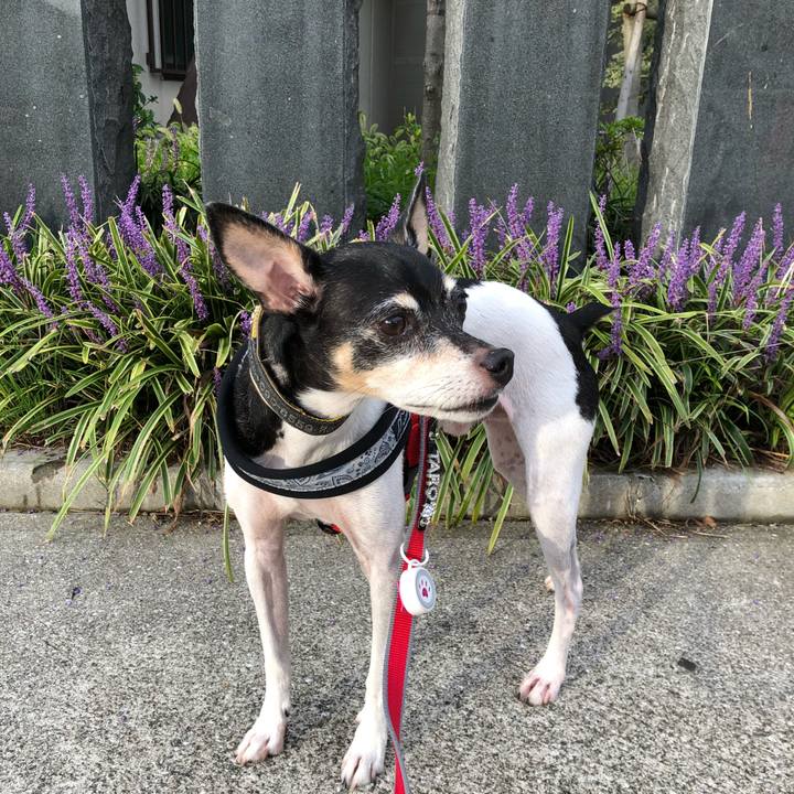 9e0cf357 a995 4c28 9ee3 7b24b8d57d58 1538278206928