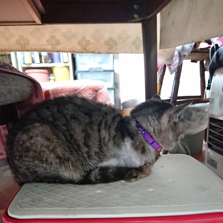 9e0d1607 68db 4203 ade7 90b247230e2d 1590179315413