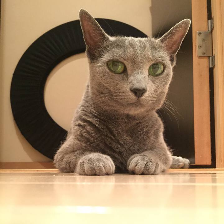 9e0d17a4 13b1 4f0c b944 b08c256d968b 1531869915759