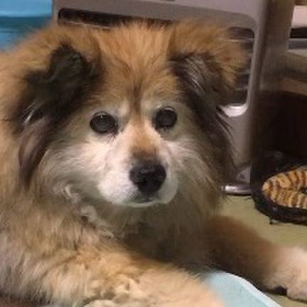 9e0d3e37 1386 4047 9624 37c468aabe18 1603567599454