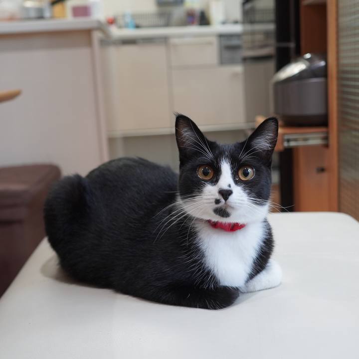 9e0d6fdb dfdb 4487 a106 81e3ad6dc0ef 1595944961023