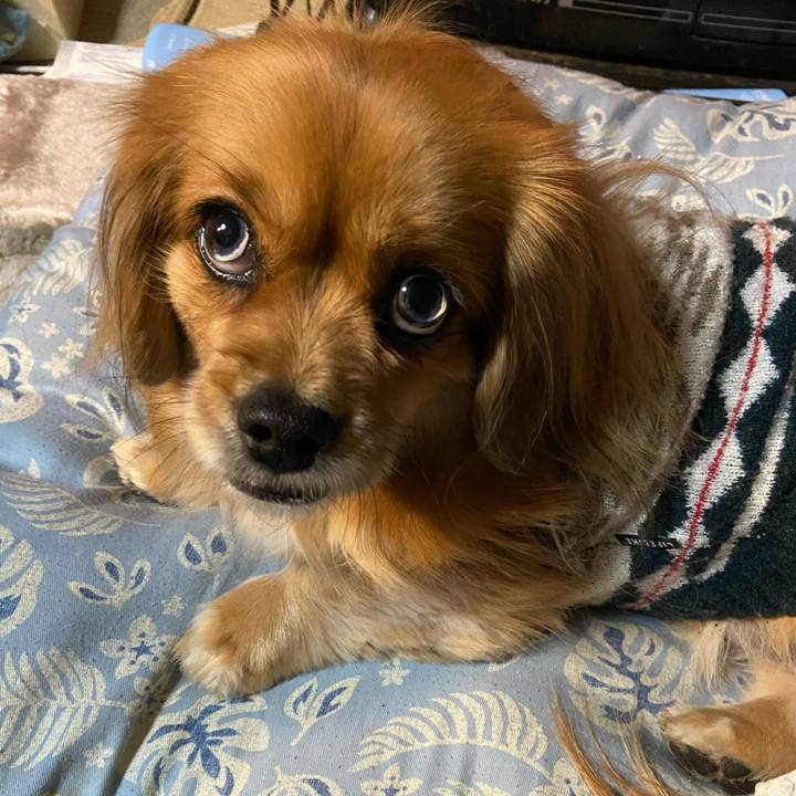 9e0d7361 6680 4594 9dfe 4bcbf28b7297 1611005486018