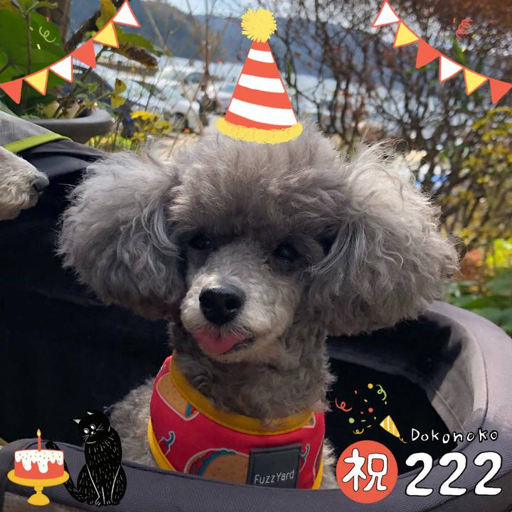 9e0d86af cefe 4f29 9540 52bac0e2d0cc 1645517792171