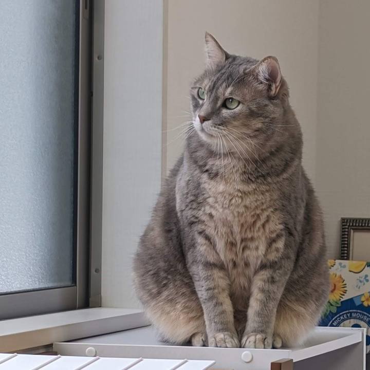 9e0d8bc9 39d5 4189 a720 2cf7321c4c58 1698638991507