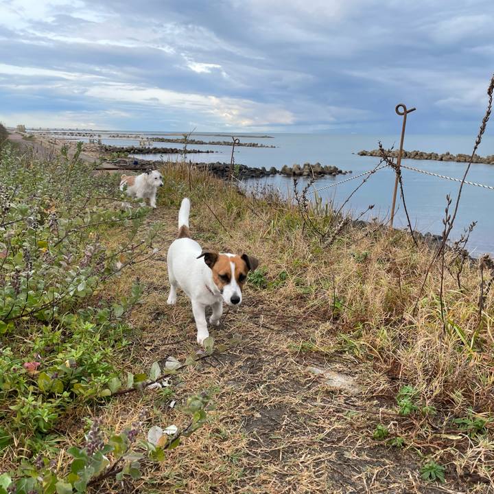 9e0da867 af93 4372 9230 ab3ed5303da7 1635290488662