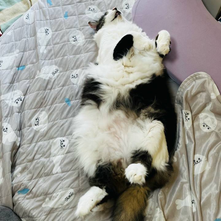 9e0dae14 c611 416f 9467 8b51b711724d 1733021478932