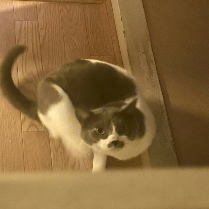 9e0dcac9 229f 4771 bb24 e887e22e77f4 1652079348652