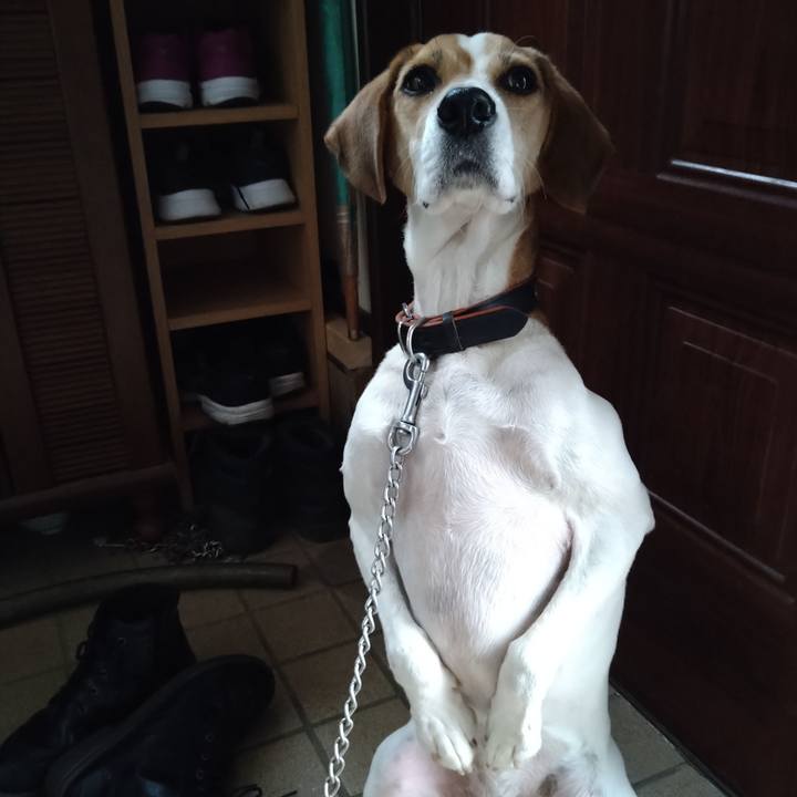 9e0de31c fabf 461f 8b47 62a9644af7d4 1638539755410