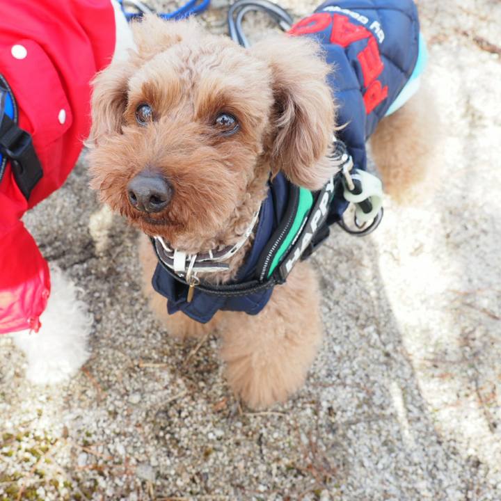 9e0de49c fc72 44b9 9910 c818e19c5c02 1518928726468