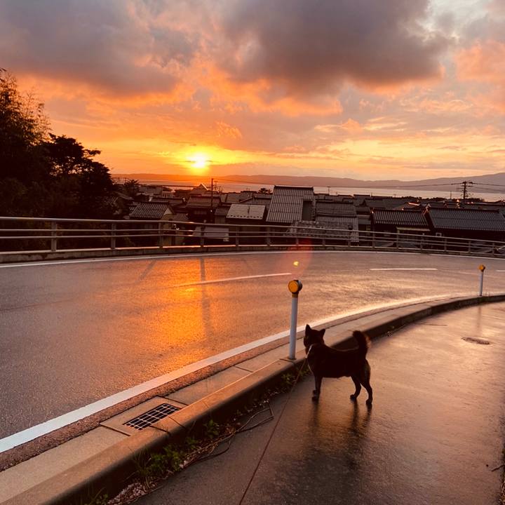 9e0e0942 f59f 4237 9105 a8bc8ead8e66 1587723883183