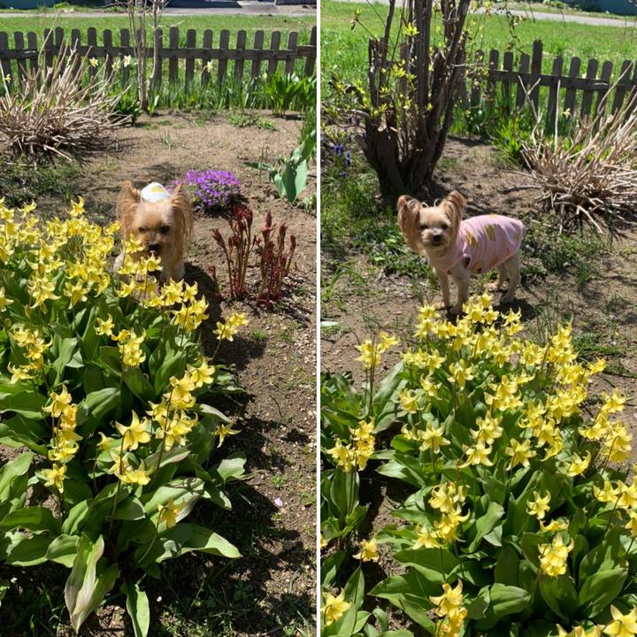 9e0e0fc7 9b02 4ae5 a588 2e20717780fb 1620811794091