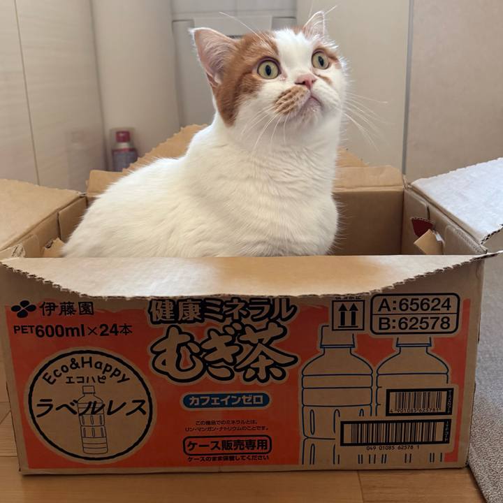 9e0e11e4 7c49 4115 8cbe 0eef58e67abc 1764300022267