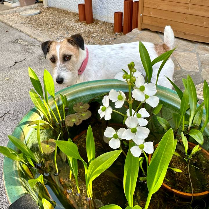 9e0e839d 91a5 4b01 97da d960ed64c3ea 1687061574042