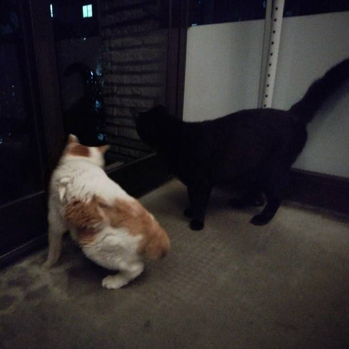 9e0eaa4e db6a 4c8f b577 cecb6cdc7959 1598189592393