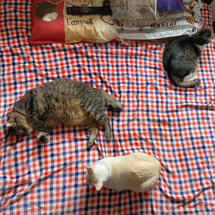 9e0ebcb7 6228 4d8d 90ae 832c0950e37b 1635043615309