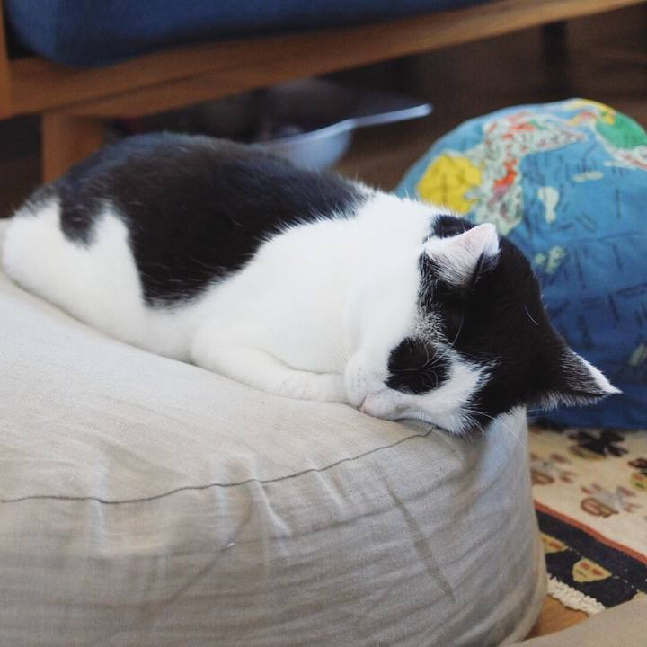 9e0ec1e9 4390 4a4d b50b 135613ebc410 1519562523884