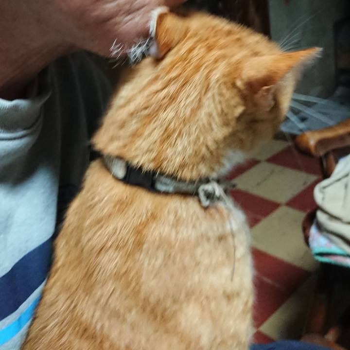 9e0ed07d 6ccd 4115 8f12 d8e1bc269cb8 1594756579223