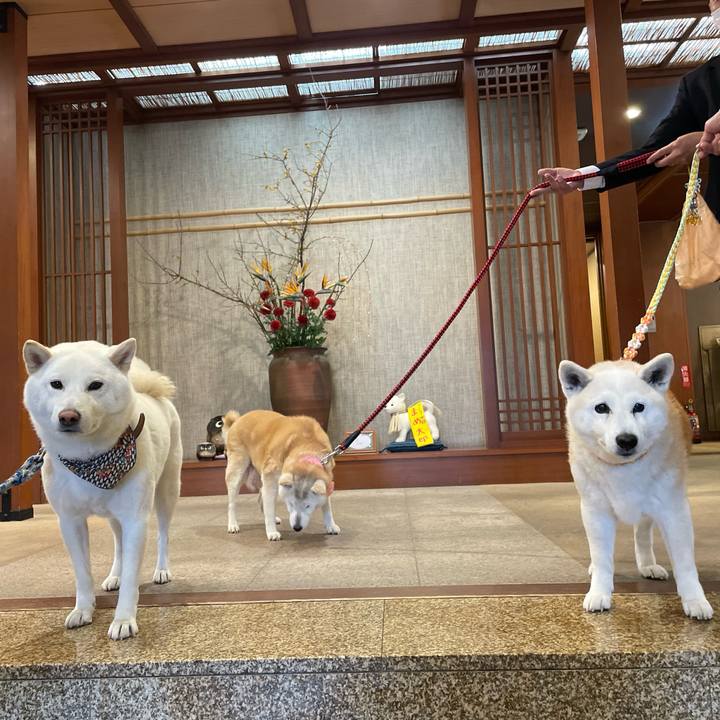 9e0f0115 d4d1 41c6 9537 a3c18ac7d0b5 1673871918495