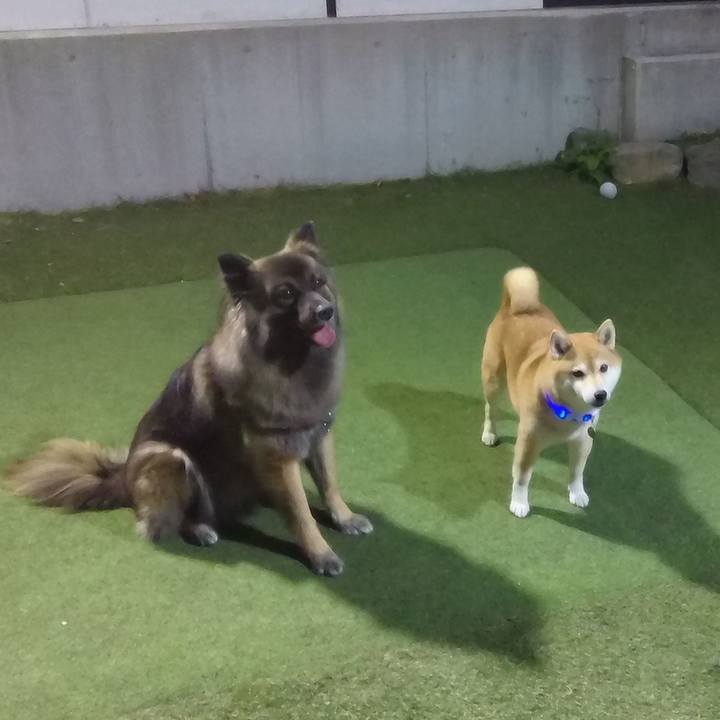 9e0f0fa1 700d 4dab bc05 8063112a16c5 1765106103361