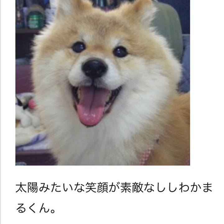 9e0f1c17 39c9 4811 8484 09326d7f005f 1513231513953