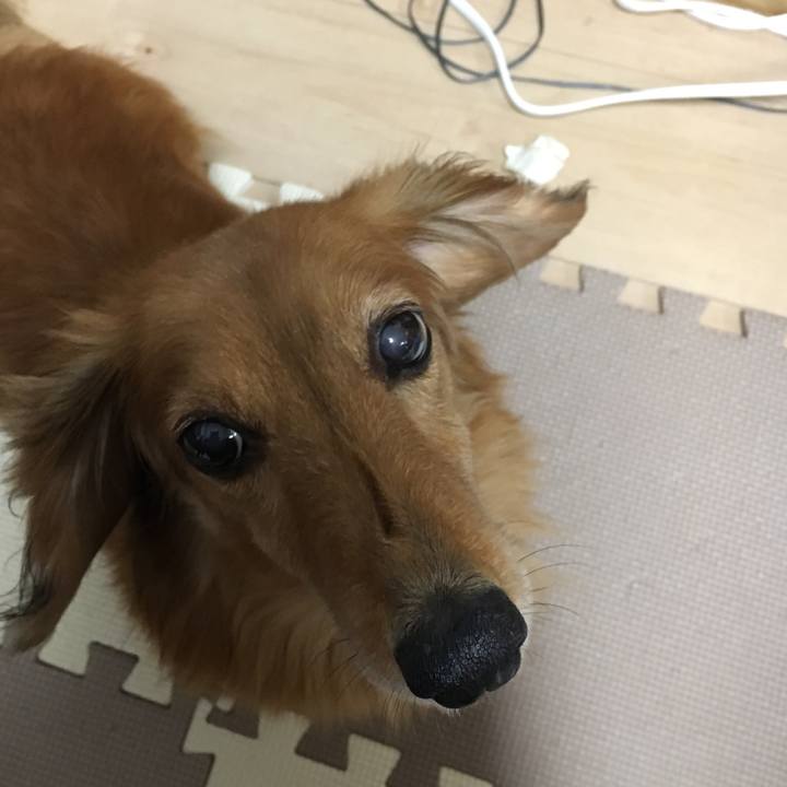 9e0f2789 112c 4021 822d 386ec93e3346 1566567225040