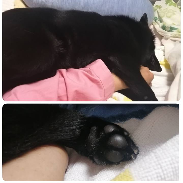 9e0f3dcb 249f 4b1c b421 85f1ccb15d16 1621088496245