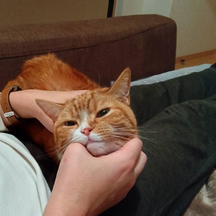 9e0f7429 fce2 43b4 96bd 23a6cf179b27 1733317688159