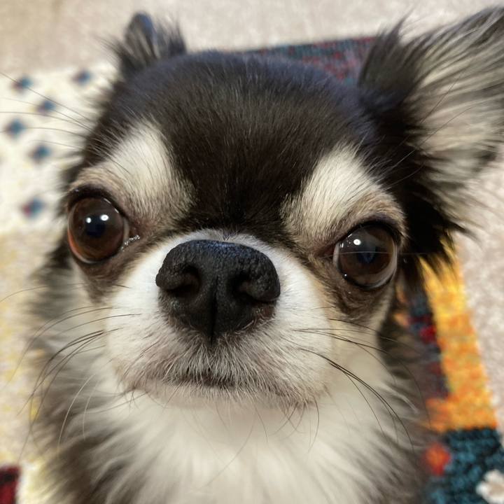 9e0f9ac1 f5b6 4ca2 9f98 ff8654514373 1700695043953