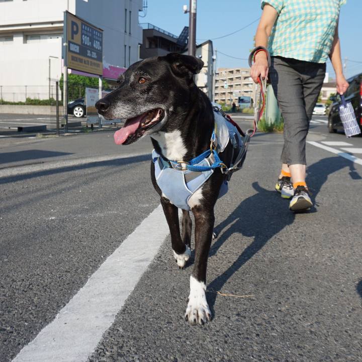 9e0fb52e 4545 4f9e bf7c 733c361860c3 1756252635646