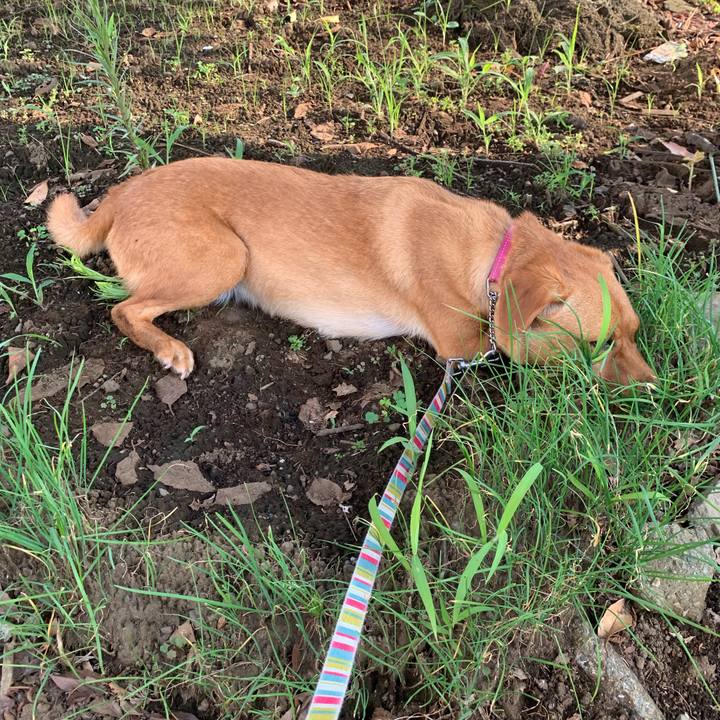 9e0fb873 41ab 4b1e b04f b8bb0f2c0e2d 1564524500927