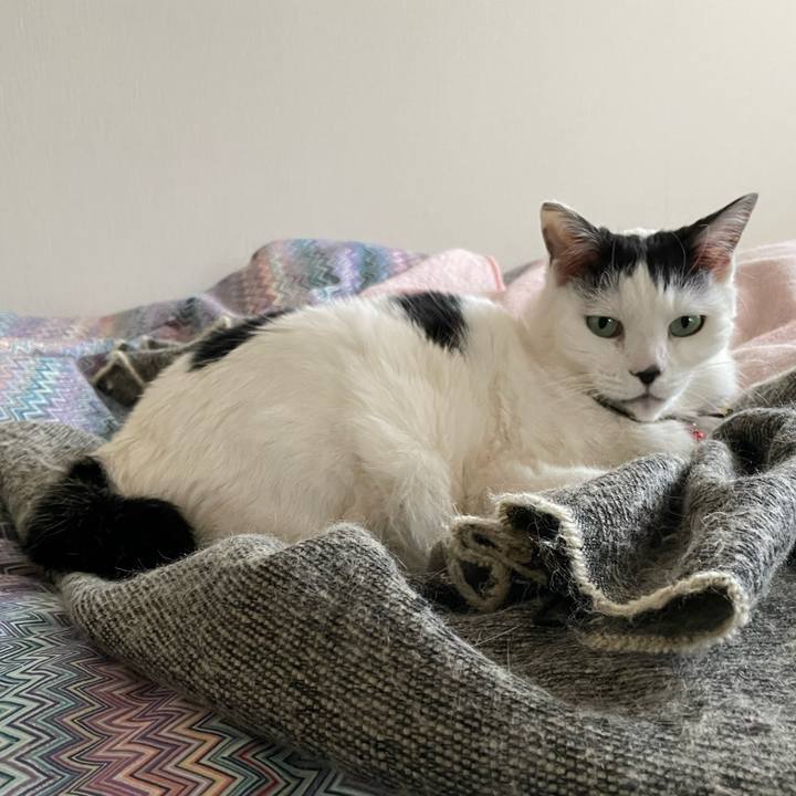 9e0fe4f9 f451 4b15 b7e7 c07593046bc3 1649370186986