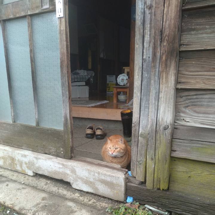 9e0fe64a 629b 449a bd46 1665abbd7e79 1678691509353