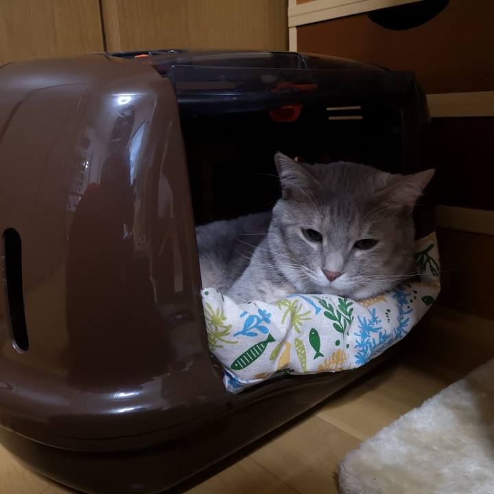 9e0ff427 e048 4e68 8ffd 97f0028a873c 1568123875968