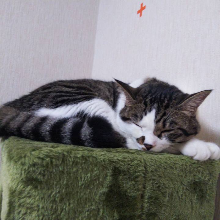 9e101700 0ad0 4b5c a3fa 222d88f516a8 1628673591687