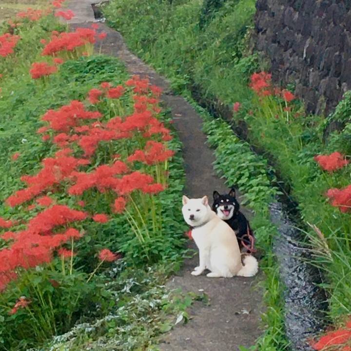 9e1058d7 cb79 4a20 821c 9c18281dcbad 1601544012843