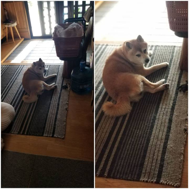 9e105e2d 6065 4f45 966b 9e8e20d6f95c 1752654477619