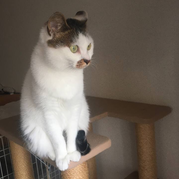 9e106ebc 6b82 4c1a a564 2194aabef498 1605855628901