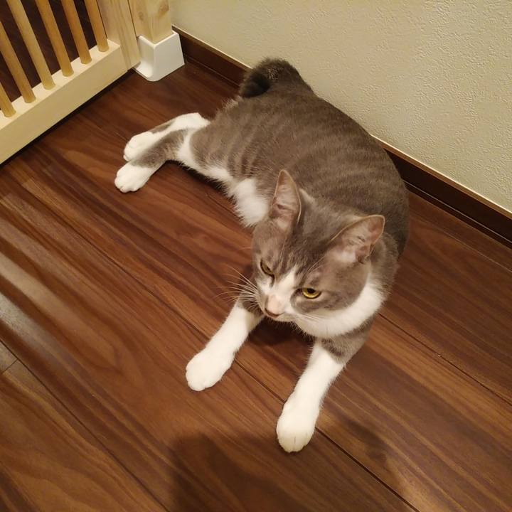 9e108367 26cf 413a a414 897caec5d9d8 1595859511096