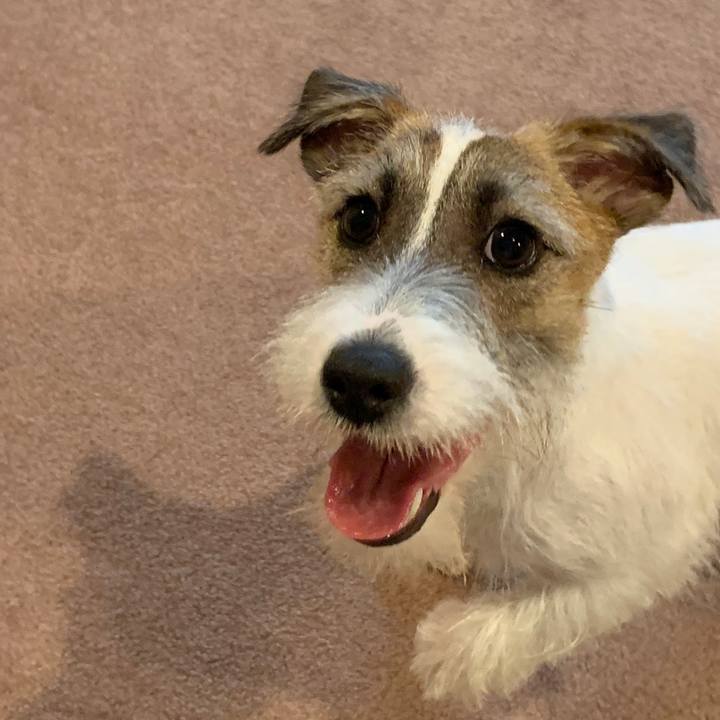 9e108fc2 32ca 46fd b140 e0ca27e3fb4c 1571738961836