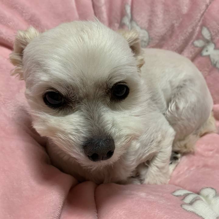 9e109ed5 1fef 4325 8fdf 8856ba18a9aa 1587293944931