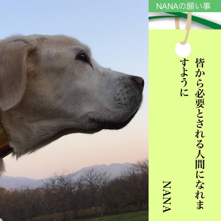 9e10a632 9c2f 4ac9 88f9 5e2abb653f58 1594083709016