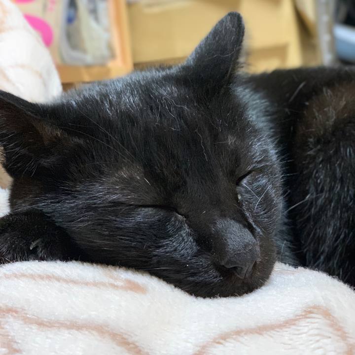 9e10d67c d690 49d3 b9d9 8482b230ecbd 1542505497993