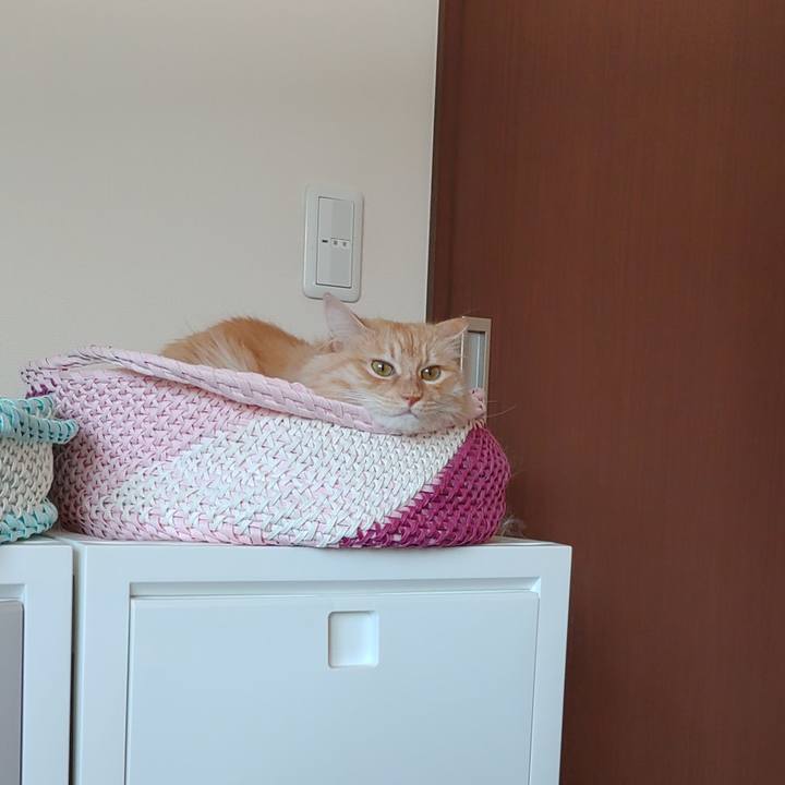 9e10fbcd e7a0 46c7 b291 ccadfd4b3e34 1688269745361