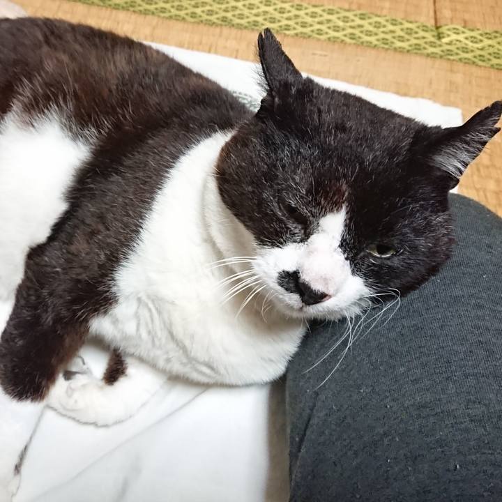 9e115aff 4ef5 4a5e 8bfb 685a472de8db 1655183532902